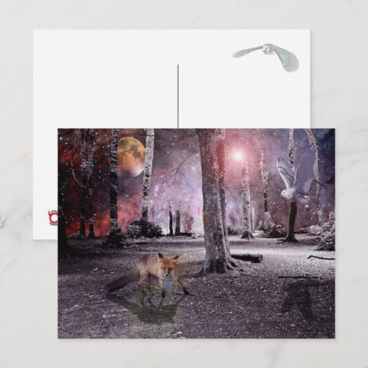 木静か材 ポストカード (正面/裏面)