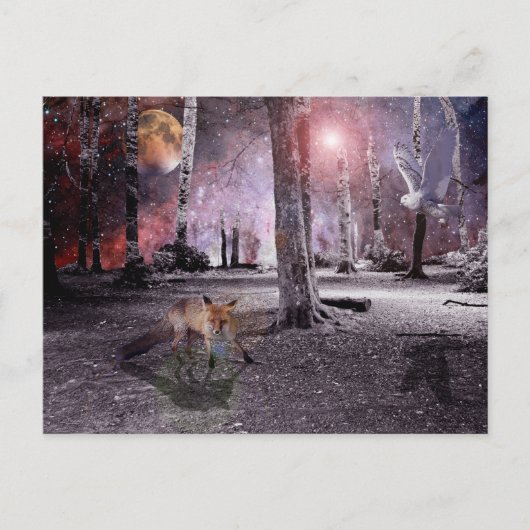 木静か材 ポストカード (正面)