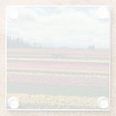 木靴チューリップファーム，ウッドバーン，オレゴン ガラスコースター (裏面)