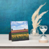 木靴チューリップファーム，ウッドバーン，オレゴン フォトプラーク (インサイチュ)