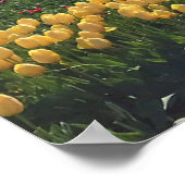 木靴チューリップファーム，ウッドバーン，オレゴン ポスター (角)