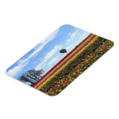 木靴チューリップファーム,ウッドバーン,オレゴン マグネット (左側)