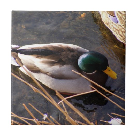 木鴨セラミックタイル タイル (正面)