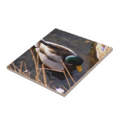 木鴨セラミックタイル タイル (側面)