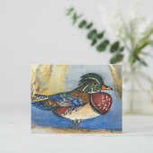 木鴨水彩鳥絵を描葉書 ポストカード (スタンド正面)