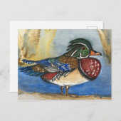 木鴨水彩鳥絵を描葉書 ポストカード (正面/裏面)
