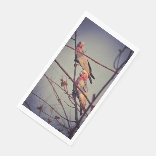 木1のガラの鳥 (コーナー)
