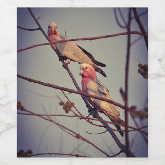 木1のガラの鳥 ワインラベル (シングルラベル)