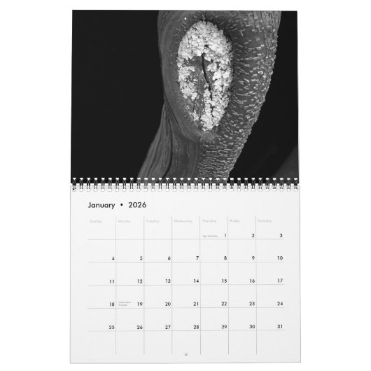 木2010年 カレンダー (1月 2026)