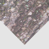 木2 – 樹皮のコケ 薄葉紙 (詳細)