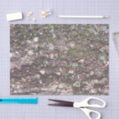 木2 – 樹皮のコケ 薄葉紙 (クラフト)