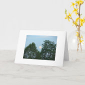 木、やる気を起こさせるな引用語句 カード (黄色い花)