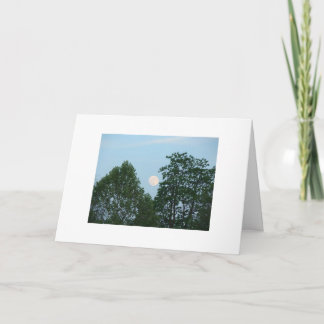 木、やる気を起こさせるな引用語句 カード