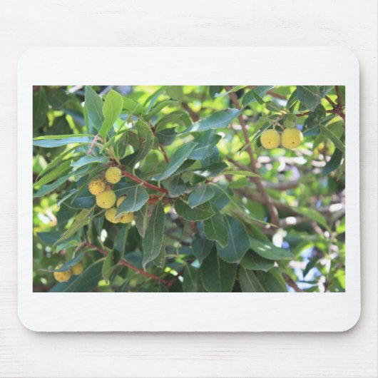 木、イタリア マウスパッド (正面)