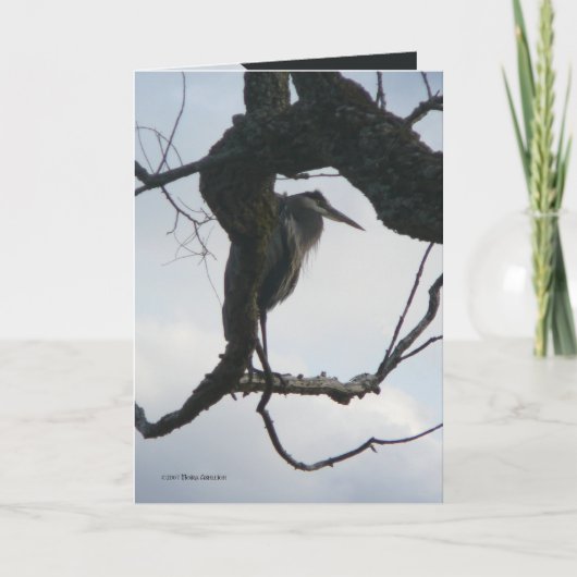 木 カード (正面)