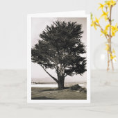 木 カード (黄色い花)