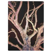 木 クリップボード (裏面)