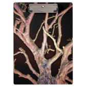 木 クリップボード (正面)