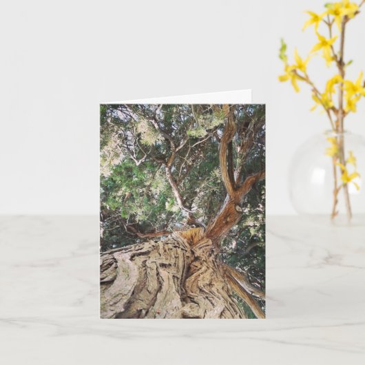 木、ドイツの誕生日 カード (黄色い花)