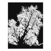 木 フォトプリント            (正面)