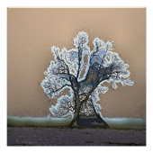 木 ポスター (正面)