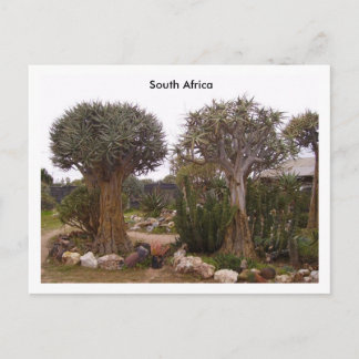 木 ポストカード