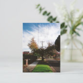 木 ポストカード (スタンド正面)