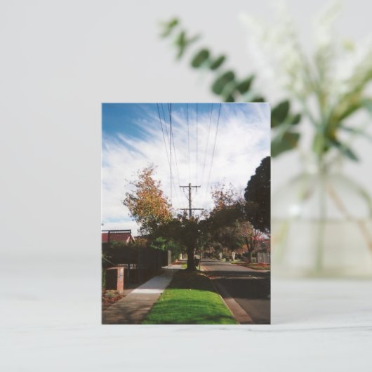 木 ポストカード (スタンド正面)