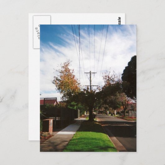 木 ポストカード (正面/裏面)