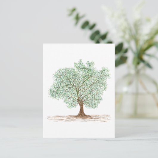 木 ポストカード (スタンド正面)