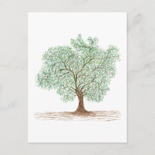 木 ポストカード (正面)