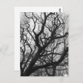 木 ポストカード (正面/裏面)