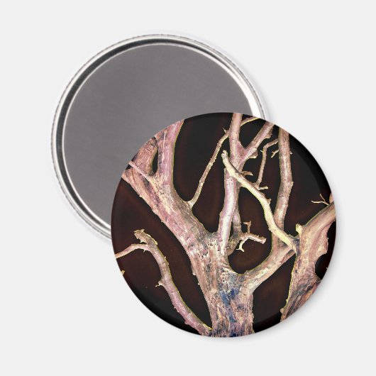 木 マグネット (正面/裏面)