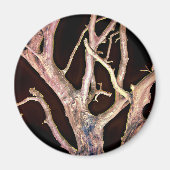 木 マグネット (正面)