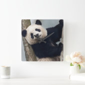 木、中国に上っている若いパンダ スクエア壁時計 (ホーム)