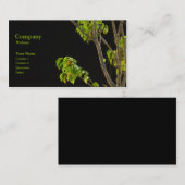 木 名刺 (正面/裏面)