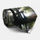 木 – 森の中の日光 ネクタイ (ロール)