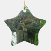 木、森、自然、野生動物上の眠る虎 セラミックオーナメント (正面)