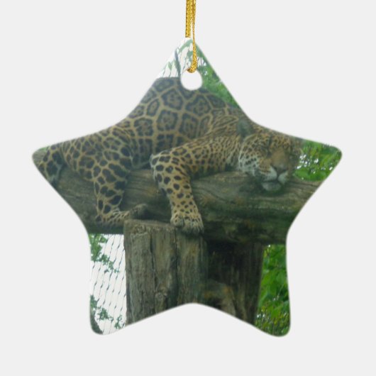 木、森、自然、野生動物上の眠る虎 セラミックオーナメント (裏面)