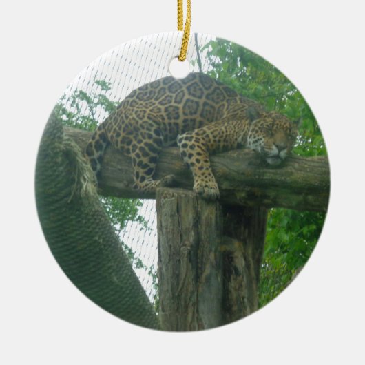 木、森、自然、野生動物上の眠る虎 セラミックオーナメント (正面)