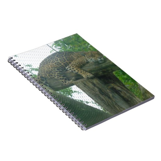 木、森、自然、野生動物上の眠る虎 ノートブック (右側)