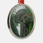 木、森、自然、野生動物上の眠る虎 メタルオーナメント (右)