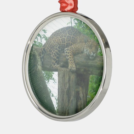 木、森、自然、野生動物上の眠る虎 メタルオーナメント (左)
