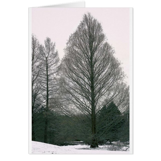 木-波の丘NYC (正面)