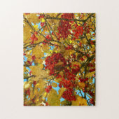 木 紅い実 黄色い葉 秋の写真 - ジグソーパズル (縦)