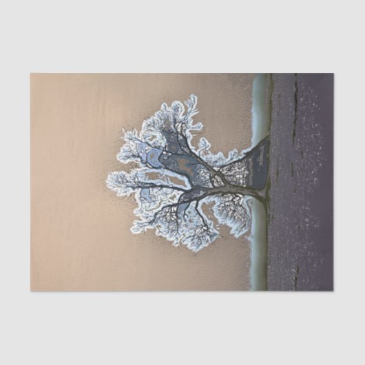 木 薄葉紙 (正面)