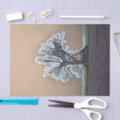 木 薄葉紙 (クラフト)