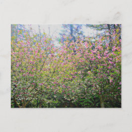 木#3 ポストカード