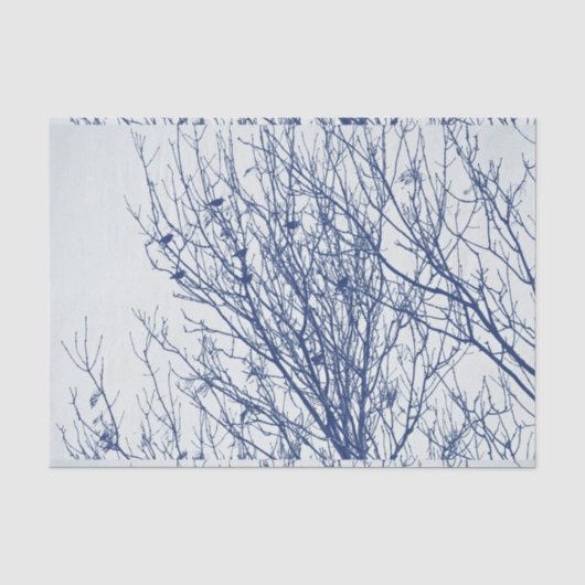木- Cyanotypeの効果のムクドリ 薄葉紙 (正面)