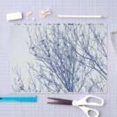 木- Cyanotypeの効果のムクドリ 薄葉紙 (クラフト)